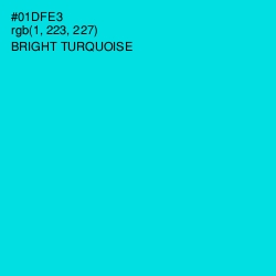 #01DFE3 - Bright Turquoise Color Image